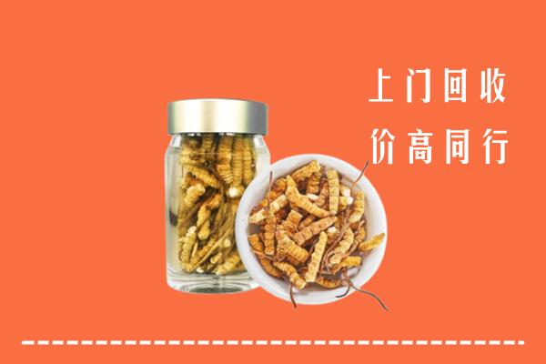 德阳绵竹市回收冬虫夏草